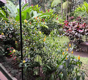 Gartenanlage