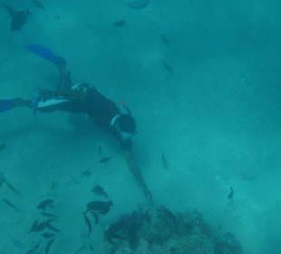 Reiseführer "Shadow"