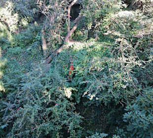 Zoologischer Garten Prag