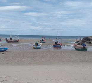 Monkey Mountain & Restaurant