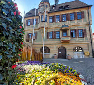 Rathaus 