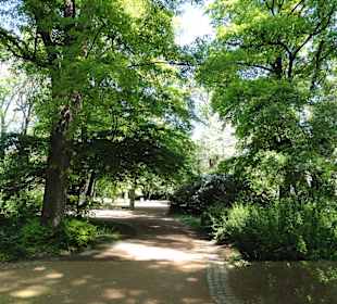 Impressionen aus den Wallanlagen