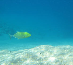 Hotel Al Nabila Grand Makadi