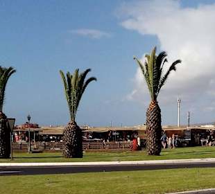 Afrikanischer Markt Caleta de Fuste in Caleta de F