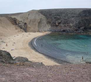 El Papagayo