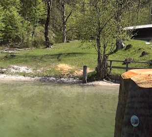 Schifffahrt St. Bartholomä nach Schönau