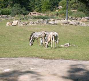 Zoo Leipzig