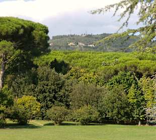 Park in Montecatini Terme
