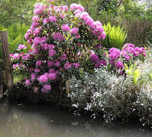 Kahnfahrt im Spreewald