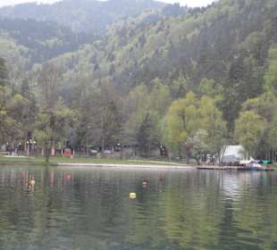 Widok na camping Bled