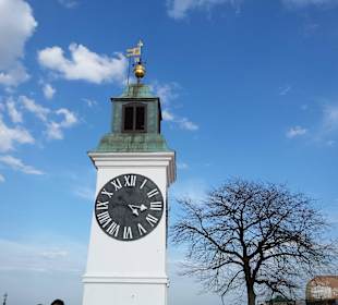 Stare Miasto Novi Sad