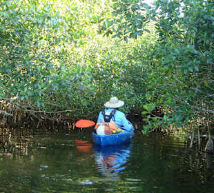 Kanutour durch die Everglades