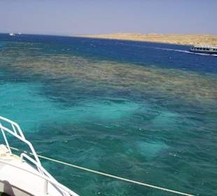 Riff beim Schnorchelausflug