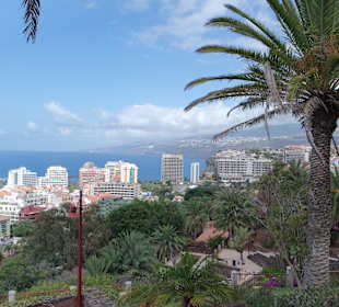 Wandern Puerto de la Cruz