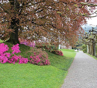 Park Villa Melzi