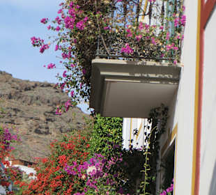 Es blüht an allen Ecken