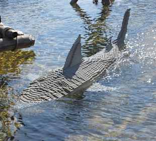 Legohai im Land der Piraten