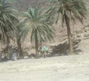 Oase vor dem Colored Canyon