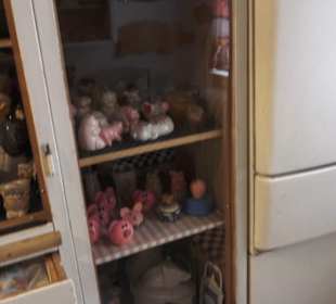 SchweineMuseum