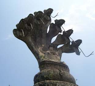 Siebenköpfige Kobra