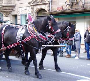 Jagdhornbläser Fürth