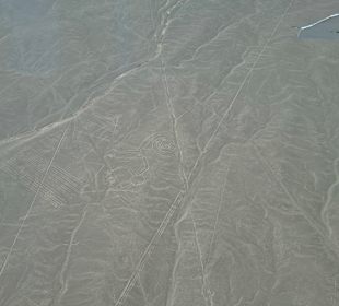 Nazca Linien aus der Luft