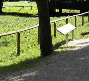 Naturpark Sparbach Hinterbrühl