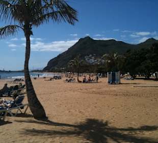Strand mit Palmen