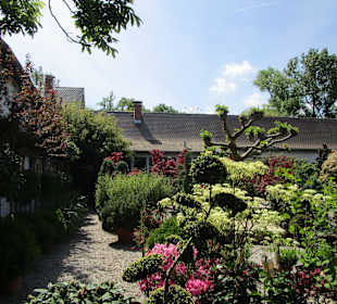 Peterhof-Pflanzen in Hanhofen