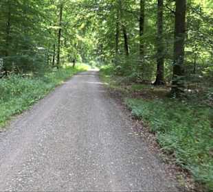 Sonnenaufgangs-Rundwanderung Rübgarten