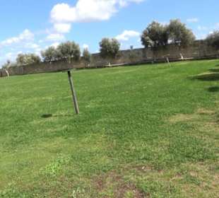 Malta Falconry Centre