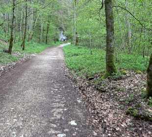 Wandergebiet Liebfrauental