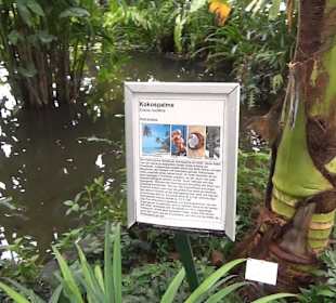 Tropicarium - Feuchte Tropen