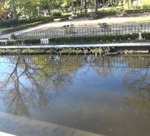 Real Jardín Botánico de Madrid