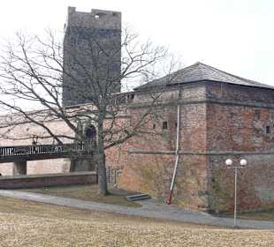 Chebský hrad (deutsch:Burg Eger)