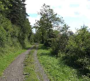Naturschutzgebiet Zollerhalde Zimmern