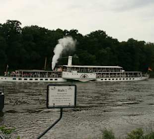 Schaufelraddampfer in Pillnitz