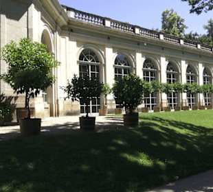 Orangerie