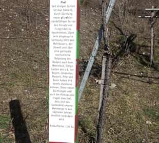 Wanderung Florianrunde