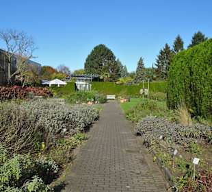 Rundgang durch den Botanischen Garten Hamburg