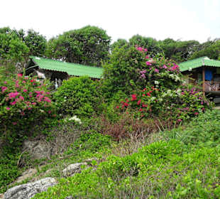 Bungalows oberhalb der Patok Bay