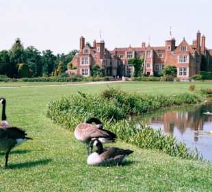 Kanada-Gänse vor Kentwell Hall