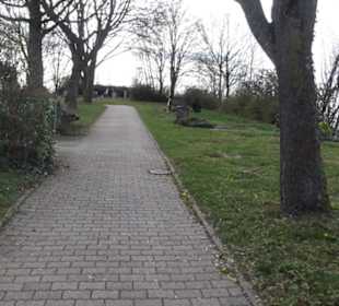 Friedhof 
