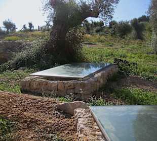 Monografisches Museum und Punische Nekropole von P