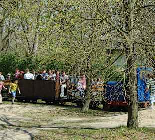 Feldbahn
