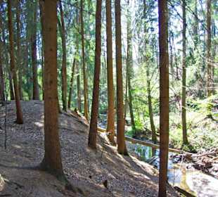 Der Bitterbach im Pegnitztal bei Nürnberg