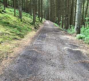 Wandern Drachselsried