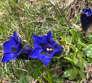 Radfahren Feld am See