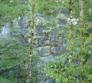 Parcul Natural Apuseni