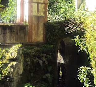Ogród Tropikalny Monte Palace
